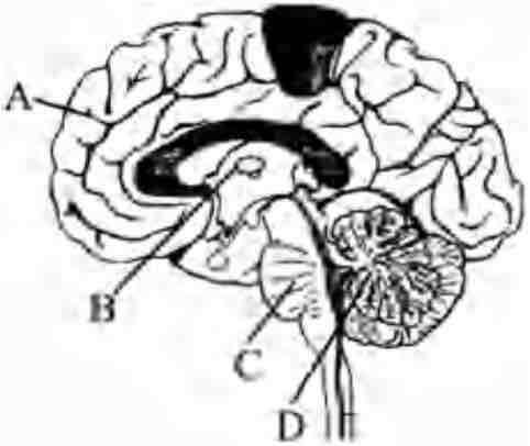 Biology Question Image