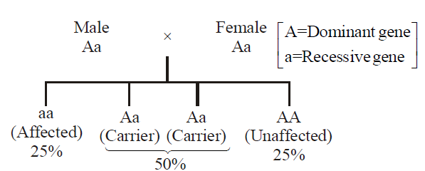 Solution Image