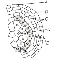 Biology Question Image