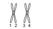 Solution Image