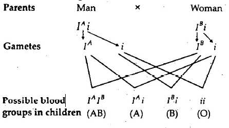 Solution Image