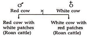 Solution Image