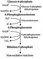 Solution Image