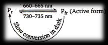 Solution Image