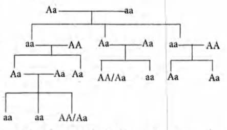 Solution Image