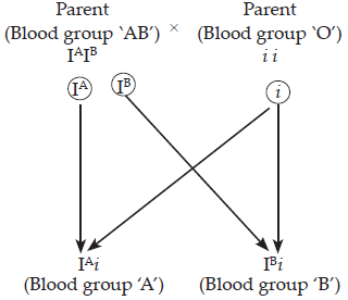 Solution Image