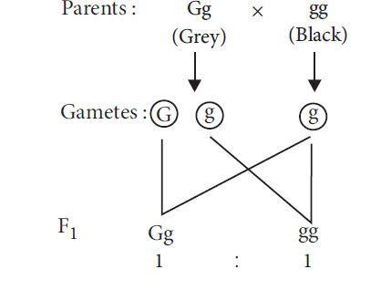 Solution Image