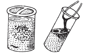 Biology Question Image