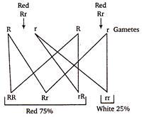 Solution Image