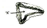 Biology Question Image