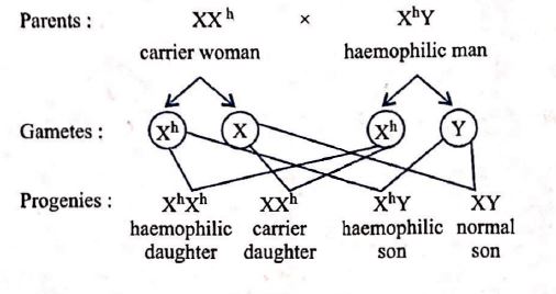 Solution Image