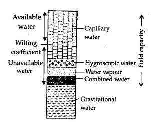 Solution Image