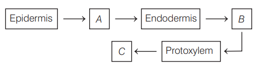 Biology Question Image