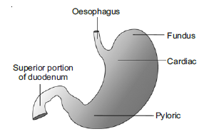 Solution Image