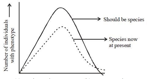 Which type of evolution is shown by the given graph?