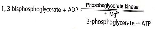 Solution Image