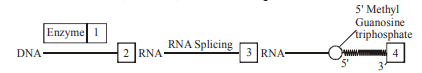 Biology Question Image