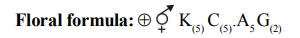 Solution Image