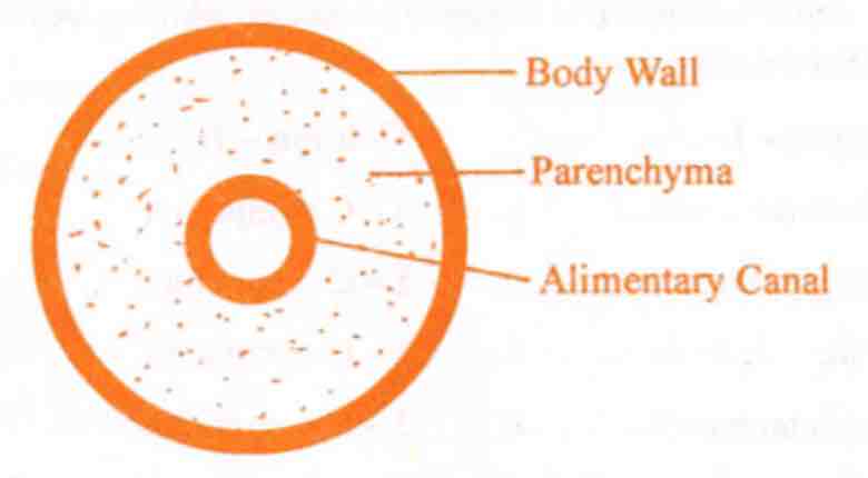 Biology Question Image