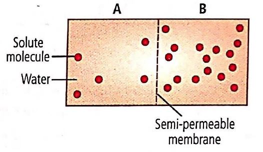 Biology Question Image