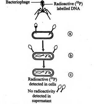 Biology Question Image