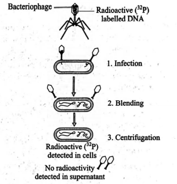 Solution Image