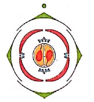 Biology Question Image