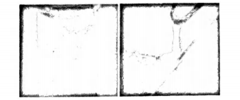 Biology Question Image