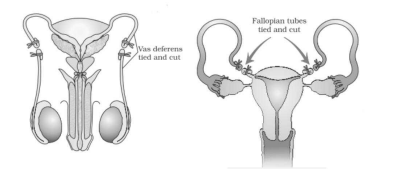 Biology Question Image
