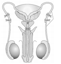 Biology Question Image