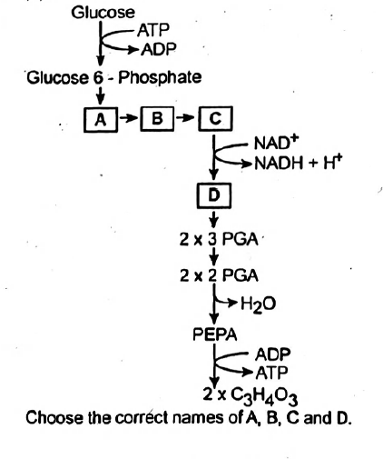 Biology Question Image