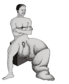Biology Question Image