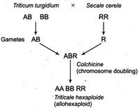 Solution Image