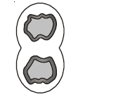 Solution Image