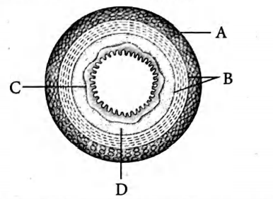 Biology Question Image