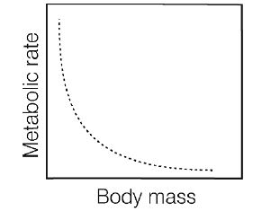 Biology Question Image