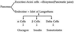 Solution Image