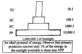 Solution Image