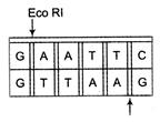 Solution Image