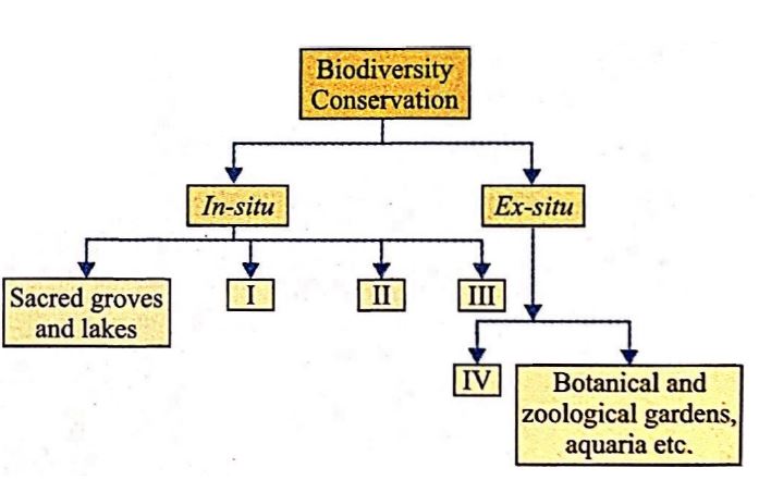 Biology Question Image