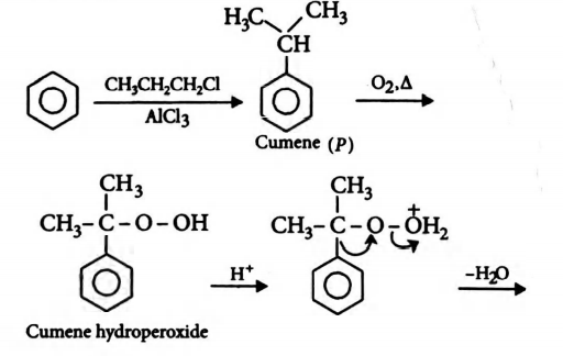 Hyperperoxide Rearrangement The major products P and Q are