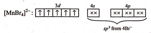Mn 2+ forms a complex with Br - ion. The magnetic moment of the complex ...