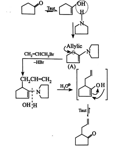 Consider the following sequence of reactions: The end product (B) is: