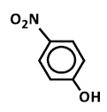 Option 4 Image
