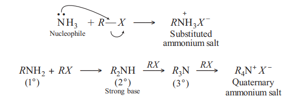 Solution Image