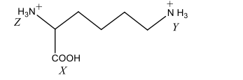 Chemistry Question Image