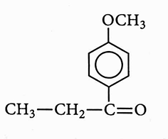 Option 3 Image