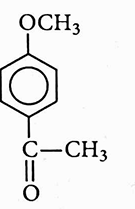 Option 4 Image