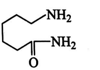 Option 3 Image