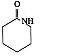 Option 4 Image